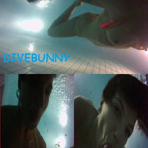 Divebunny