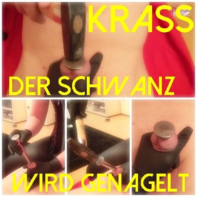 KRASS der  Schwanz wird genagelt