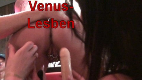 Venus-Lesben