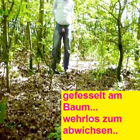 Wehrlos gefesselt am Baum