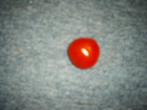 \"TOMATE\"