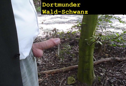 Dortmunder Wald-Schwanz