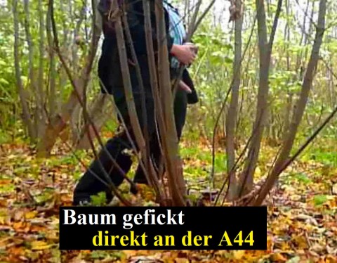 Baum gefickt - an der A44