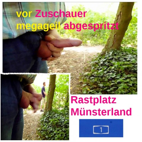 Rastplatz A1 - Münsterland