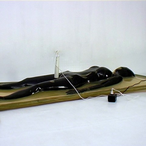 With the ballhood in vacbed